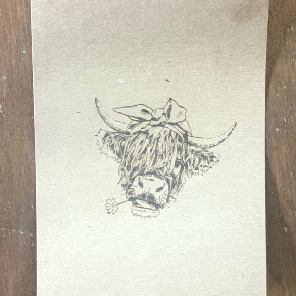 Laser Engineering of Pets, People, and Anything Else - Picture 3 of 6